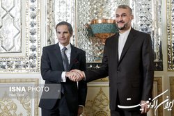 گروسی با امیرعبداللهیان دیدار می‌کند