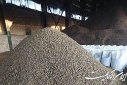 جزییاتی از آمار واردات نهاده های دامی در ۱۱ ماهه ۱۴۰۱