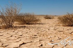 سالانه یک میلیون هکتار بیابان در کشور تولید می شود