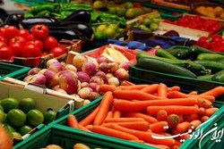 سازوکار مجلس برای پرداخت سهم دولت به صندوق بیمه محصولات کشاورزی