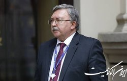 اولیانوف: امیدوارم شورای حکام از سیاسی‌کاری درباره پرونده ایران خودداری کند