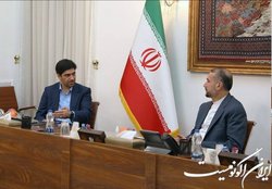 دیدار رئیس شورای اجرایی گروه بین‌المجالس مجلس با امیرعبداللهیان