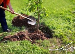 حضور رئیسی در مراسم روز درختکاری