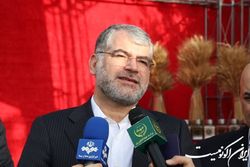رونمایی از ۱۱۵ بذر اصلاح شده در روز نخست هفته منابع طبیعی
