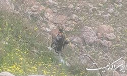 سقوط یک فروند پهپاد ترکیه‌ در شمال عراق