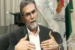 زیاد نخاله: مرحوم شیخ‌الاسلام یکی از ستارگان دیپلماسی جمهوری اسلامی ایران بود