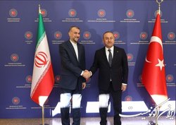 گفت‌وگوی «امیرعبداللهیان» با «مولود چاووش اوغلو»