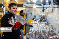 پنج نمایشگاه نوروزی عرضه محصولات شیلاتی در تهران برپا شد