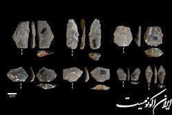 شباهت عجیب ابزار سنگی میمون‌ها و انسان‌ها