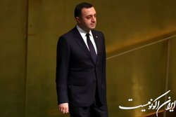 نخست‌وزیر گرجستان، زلنسکی را از مداخله در امور کشورش بر حذر داشت