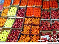 عرضه میوه شب عید از فردا