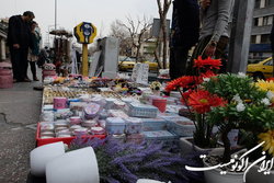 مبارزه با موش ها در تهران ادامه دارد