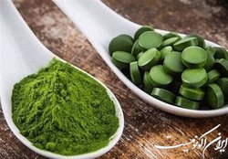 کارگاه آشنایی تا کشت ریزجلبک دارویی و تغذیه ای اسپیرولینا برگزار می‌شود