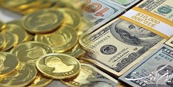 تلاش دلالان ارزی برای نوسان سازی در بازار