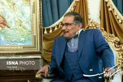شمخانی: نتیجه دیپلماسی همسایگی، ایجاد منطقه قوی است