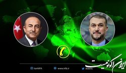 گفت‌وگوی امیرعبداللهیان با چاووش اوغلو