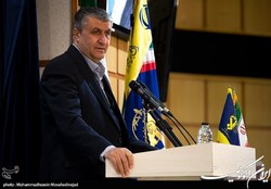 اسلامی: تست گرم محفظه حمل سوخت نیروگاه بوشهر به زودی انجام می‌شود