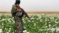 بازداشت یک کهنه سرباز استرالیایی به خاطر ارتکاب جنایات جنگی در افغانستان