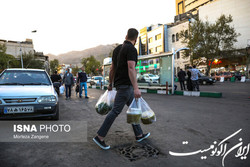 اتصال بزرگراه شهید بابایی به ارتش در دست بررسی