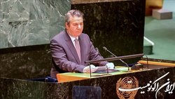 ترکیه خواستار دیپلماسی فوری برای پایان دادن به جنگ اوکراین است