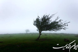 وزش باد شدید در تهران و کولاک در ارتفاعات