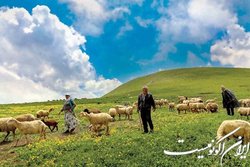 اجرای طرح ملی ساخت سکوی نصب سیاه چادر در استقرارگاه‌های عشایر