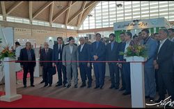 افزایش ۱.۷میلیون تنی تولید محصولات باغبانی در سال ۱۴۰۱