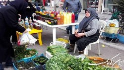 «روستا بازار» بستری برای معرفی توانمندی های محصولات روستایی