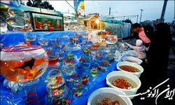 خوش‌آمدگویی به گونه مهاجم با خرید ماهی قرمز