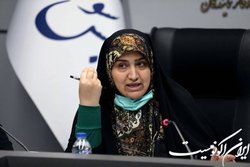 انتقاد رفیعی از «بانیان وضع موجود» حوزه محیط زیست