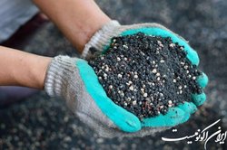 صدور ۱۵۷ فقره مجوز صادرات انواع کودهای کشاورزی