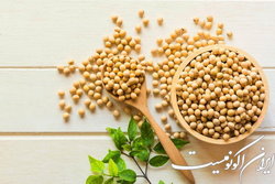 تولید ماده پروتئینی جایگزین سویا از ضایعات چرم