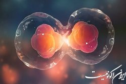 طراحی و ساخت یک چیپ برای سنجش سختی دیواره تخمک