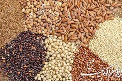 اختلال جدی در توزیع نهاده های دامی