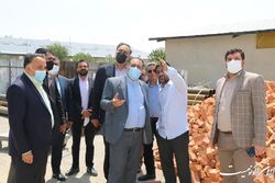 بازدید مدیرعامل شرکت توسعه از پروژه جدید فدراسیون کشتی
