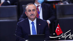 چاووش‌اوغلو: اردوغان همچنان به دنبال برگزاری نشست بین زلنسکی و پوتین است