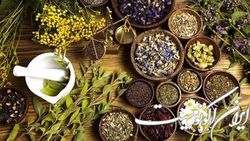 افزایش ۲۰ درصدی قیمت گیاهان دارویی با نشان «PDO»