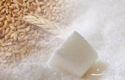 از دروغ گو خواندن آمریکا تا از دست رفتن میلیون ها تن غله در اوکراین