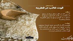 آیا لحاظ قوت غالب در فطریه واجب است؟