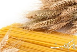 مشکل عرضه ماکارونی از فردا برطرف می‌شود