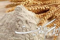 مشکلی در تامین آرد صنف و صنعت نداریم