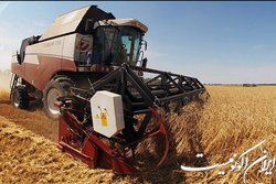 صادرات گندم اوکراین به ۱۸.۵ میلیون تن رسید