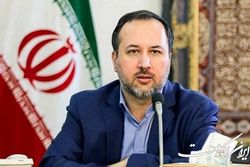 وظیفه دولت اجرای درست مصوبه مجلس در اصلاح ارز ترجیحی است