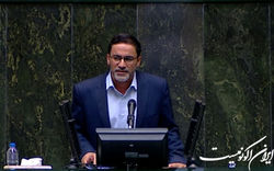 همه نمایندگان موافق ساماندهی ارز ترجیحی هستند