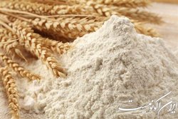 دولت چگونه یارانه نان را اصلاح کند؟