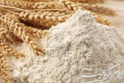 واقعیت نامه آرد کیلویی ۲۰ هزار تومان چیست؟