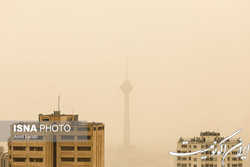 تصمیم‌گیری در اِغما