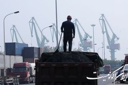 واردات زغال سنگ چین افزایش یافت