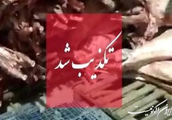 سازمان دامپزشکی: مردم گوشت را تنها با آرم دامپزشکی بخرند