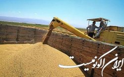 مشکلی در تامین نهاده‌ها وجود ندارد